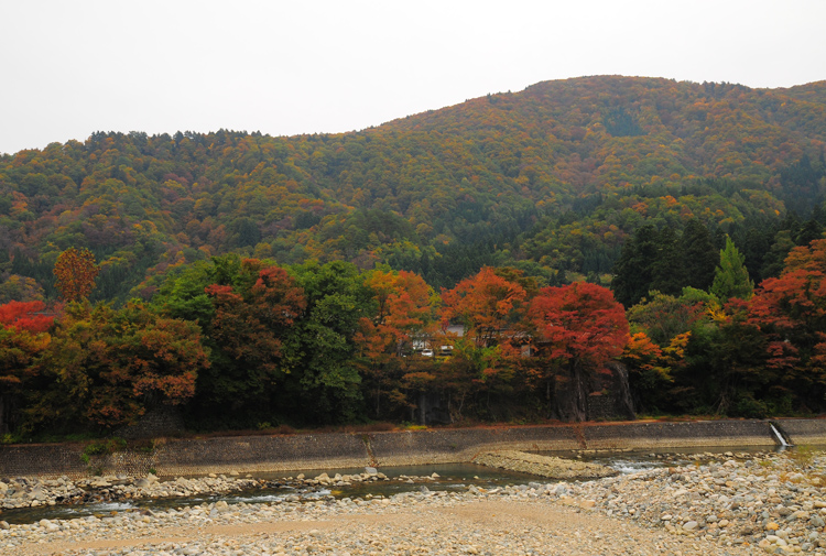 b0158403_13302541.jpg