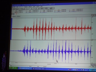 Tasting & Testing 科学で味わうナチュラルチーズ_c0173105_0282934.jpg