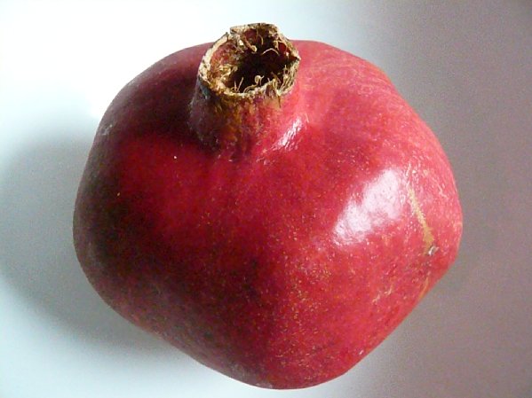f0205909_0285959.jpg