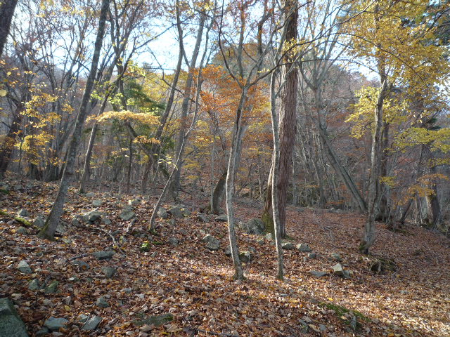 半月山~☆Part1☆_b0176010_9303346.jpg