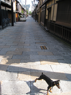 f0033510_21233934.jpg