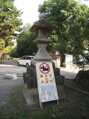 f0033510_22593597.jpg