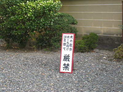 f0033510_230203.jpg