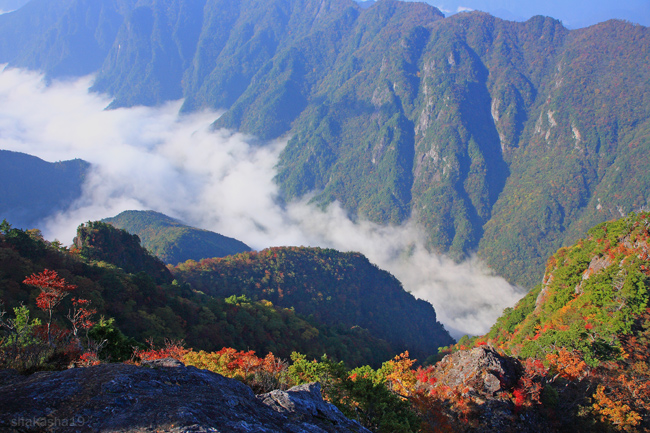 大台ヶ原の紅葉４_f0181310_13222532.jpg