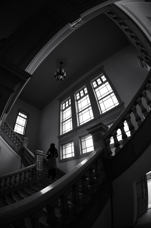 京都府庁旧本館秋の一般公開 其の二_f0032011_1914757.jpg