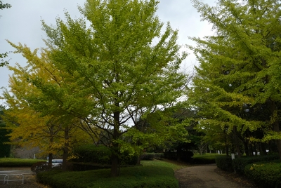 d0150013_2132794.jpg