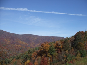 f0102814_4221360.jpg