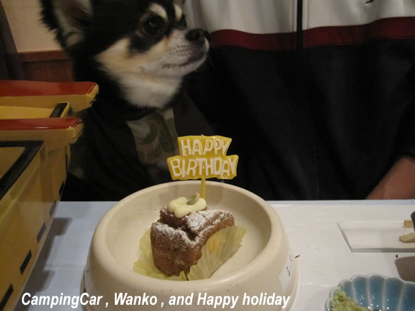 はやて　４歳の誕生日　鳥羽わんわんパラダイスでお祝い♪_b0106415_23263418.jpg