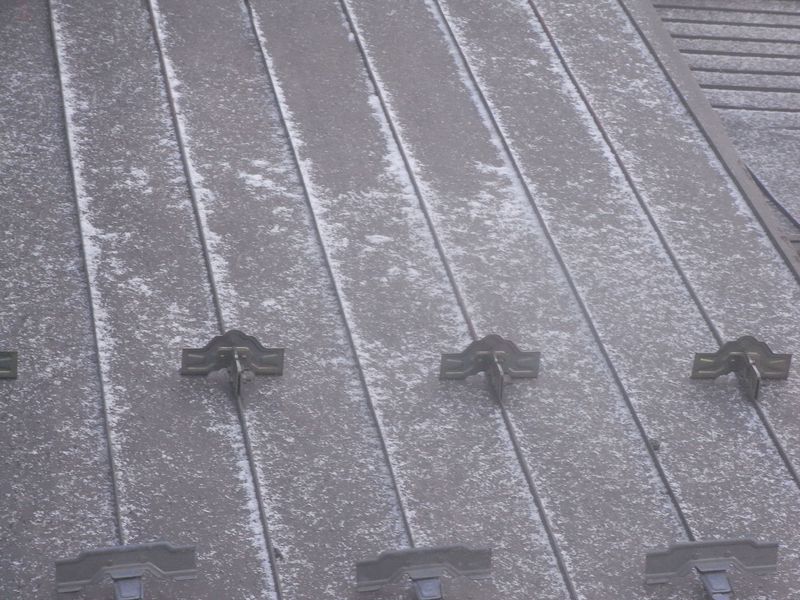 初雪_c0025115_6474424.jpg