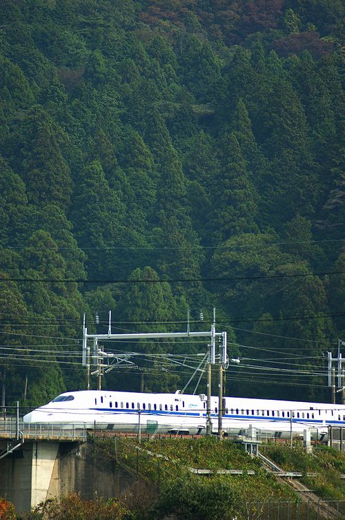 c0119618_1653693.jpg
