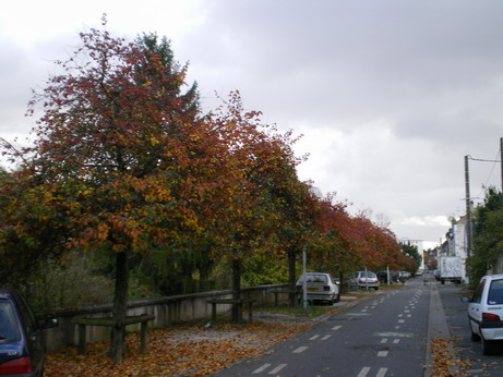 c0124619_2244147.jpg