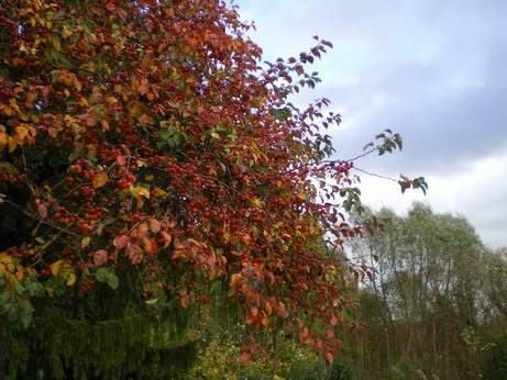 c0124619_22444494.jpg