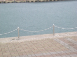 b0091423_10501158.jpg