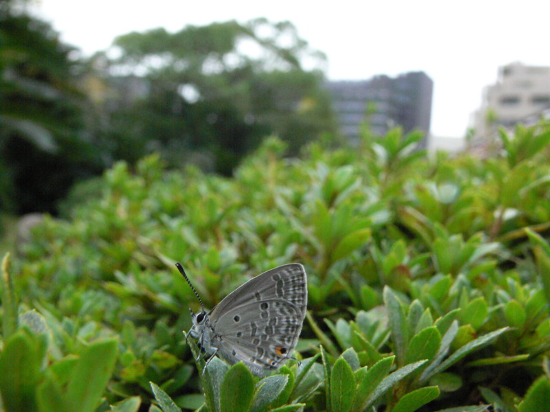f0063624_10255681.jpg