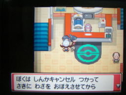 ポケットモンスターハートゴールドプレイ日記 チョウジ いかりのみずうみ つきねこの日記