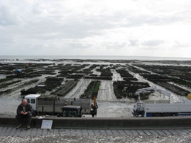c0188527_2356029.jpg