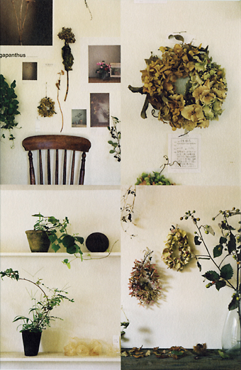 「 写真と植物 KiKusa 展 in 横浜 」_e0158628_021495.jpg