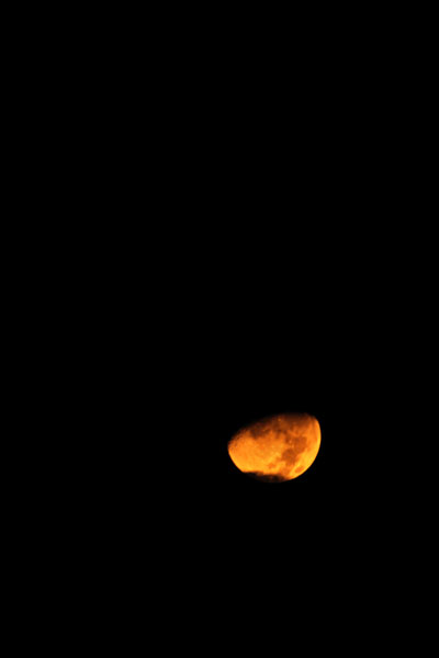 c0182231_17273699.jpg