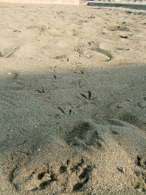 e0089232_1938975.jpg