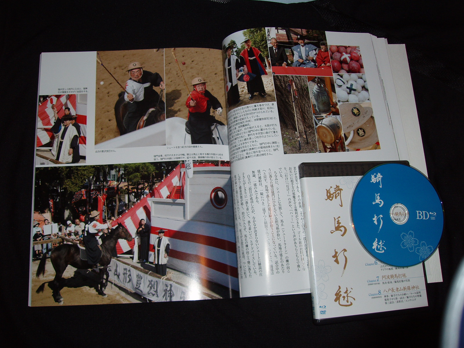 山形豊烈神社の騎馬打毬_e0144936_4123773.jpg