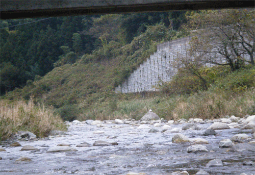 a0056140_2224926.gif