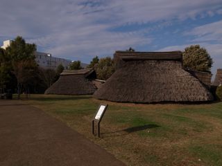 ただ見るより，手伝う方が楽しい．_d0057843_0541483.jpg