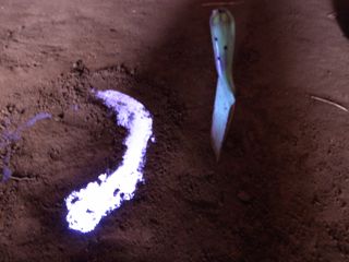 ただ見るより，手伝う方が楽しい．_d0057843_0543966.jpg
