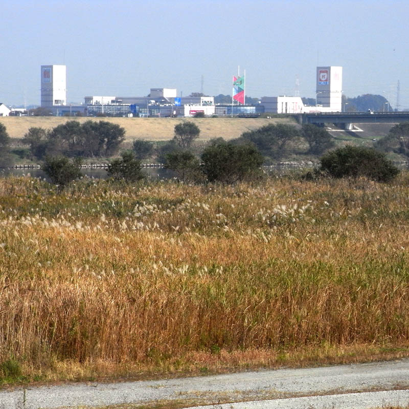 f0184244_5165100.jpg