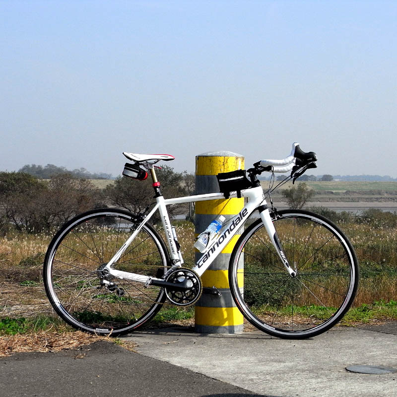 f0184244_516573.jpg