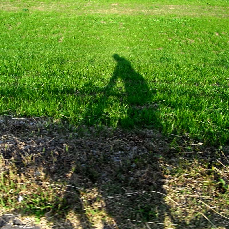 f0184244_5255117.jpg