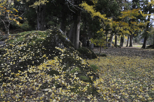 c0093046_7493682.gif