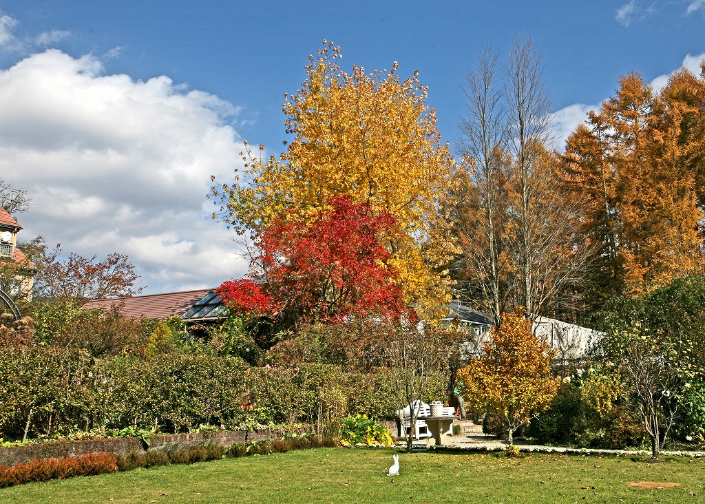 e0163149_15552584.jpg