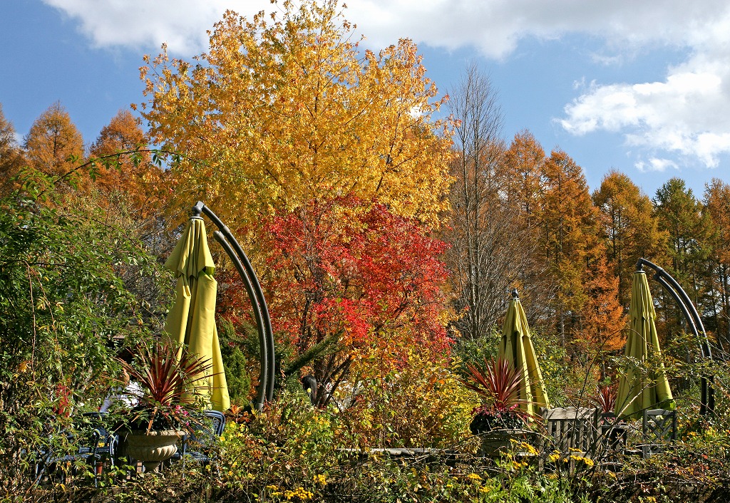 e0163149_1611077.jpg