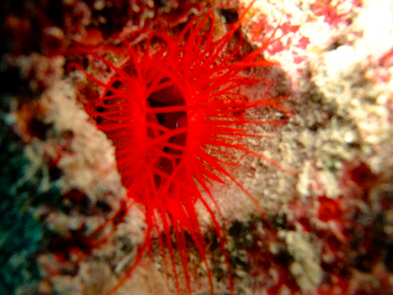 a0122752_18514788.jpg
