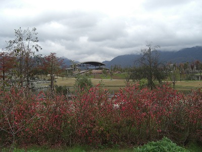 八色の森公園の寒さ_a0084753_1202261.jpg