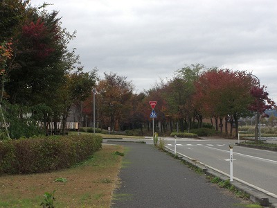 八色の森公園の寒さ_a0084753_1204425.jpg