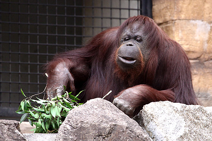 多摩動物公園にて_c0225255_11473658.jpg