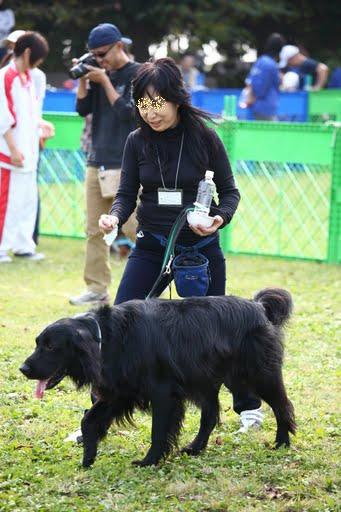 犬のいろは　秋　　　　　１０月３１日_f0050955_1112281.jpg