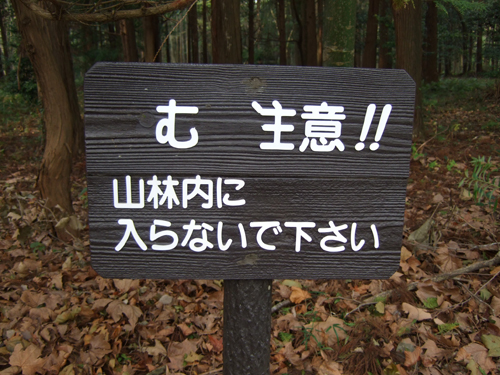 b0045357_8141339.jpg