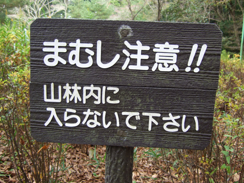 b0045357_815055.jpg