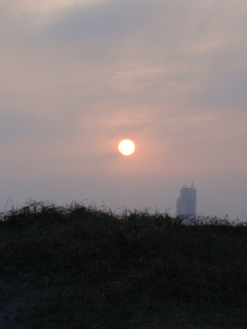 d0143957_9353139.jpg