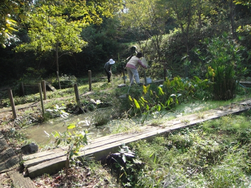 c0108460_17351192.jpg