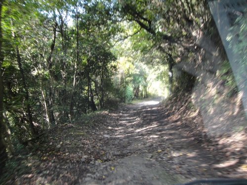 c0108460_17394638.jpg