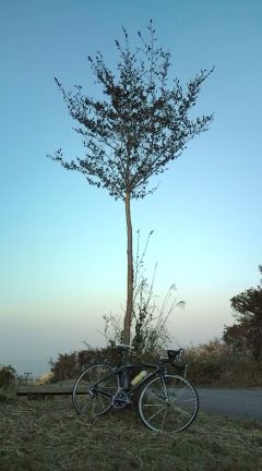 c0132865_01763.jpg
