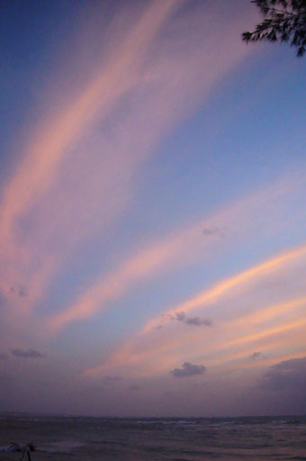 spectacular._c0153966_2332811.jpg