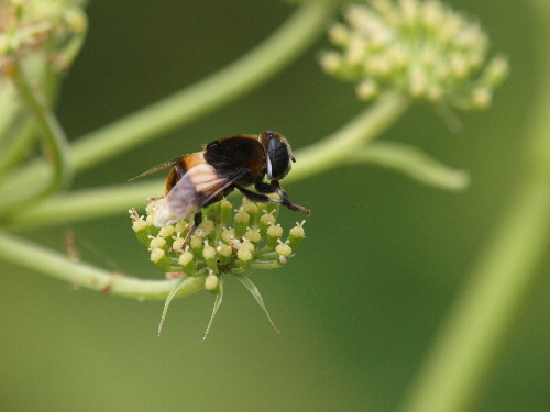 f0208666_15312591.jpg