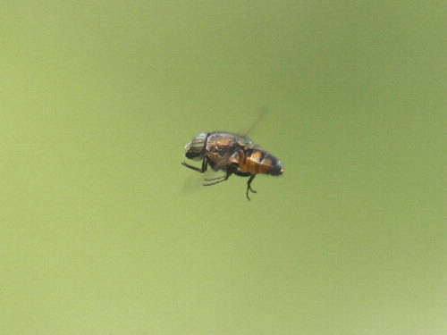 f0208666_15332291.jpg