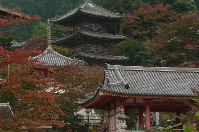 駆け足奈良紀行　-壺阪寺-_a0056769_1124197.jpg