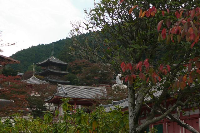 駆け足奈良紀行　-壺阪寺-_a0056769_1125430.jpg