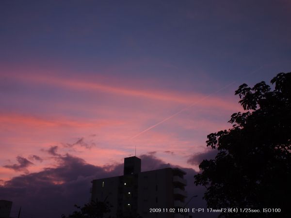 a0095470_21535966.jpg